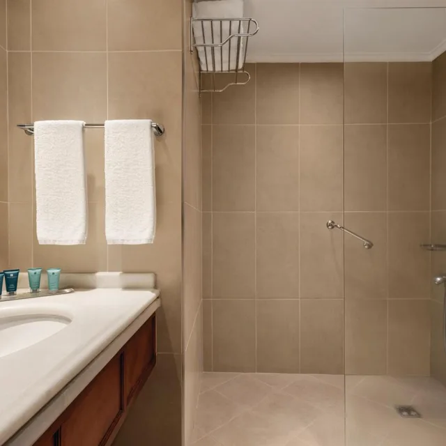 غرفة ديلوكس بسرير فردي، Wyndham Grand Kayseri 5/7