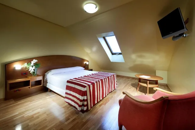 غرفة مفردة، Exe Hotel El Magistral 6/16