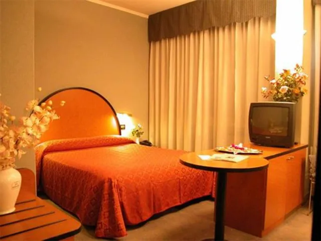 غرفة قياسية بسرير مزدوج، Hotel Delle Nazioni 1/4