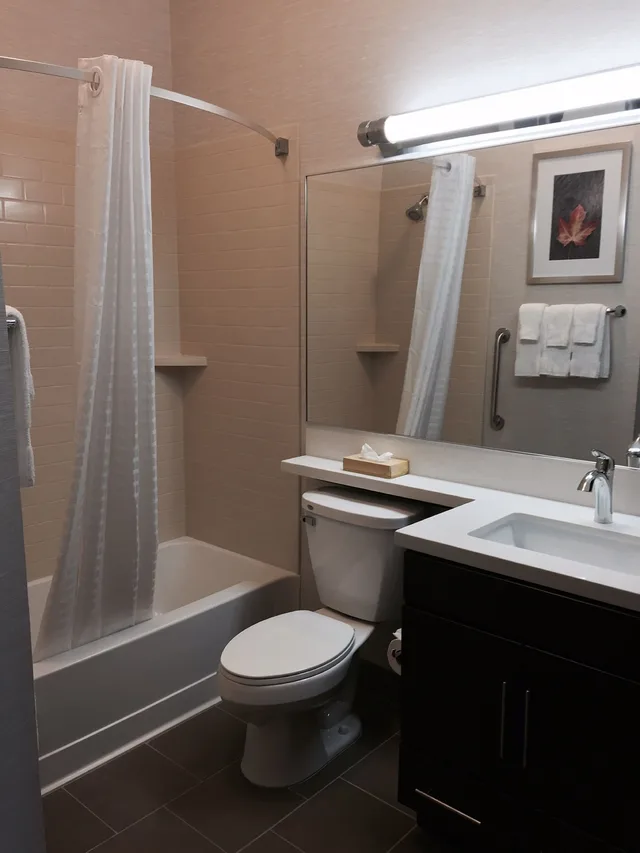 1 Bedroom, Suite, King Bed, Sofa, Candlewood Suites Youngstown West - Austintown, an IHG Hotel 2/2