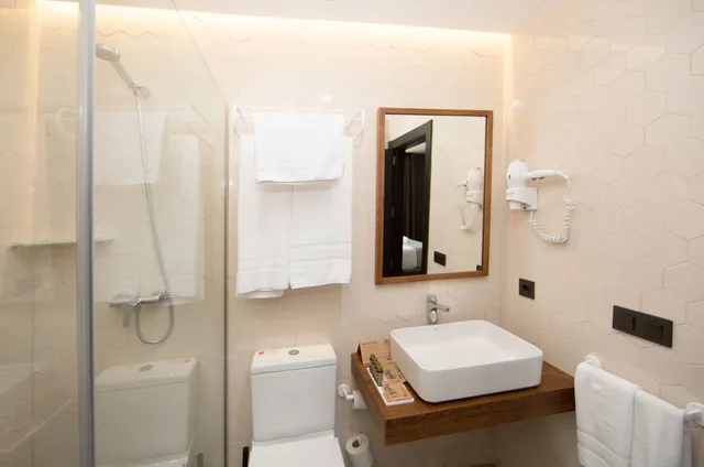 غرفة سوبيريور بسريرين منفصلين بإطلالة على المدينة، Malaga Premium Hotel 9/10