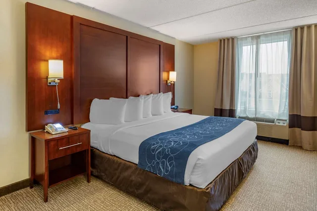 جناح بسرير كينج، Comfort Suites Manassas Battlefield Park 1/6