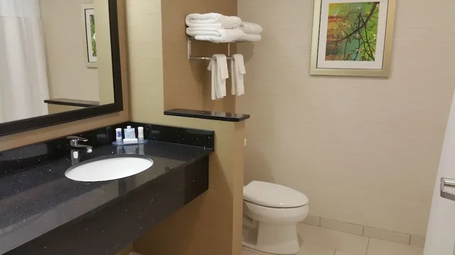 جناح بسريرين كوين مع أريكة لذوي الإعاقة، Fairfield Inn Suites Eau Claire Chippewa Falls 4/4
