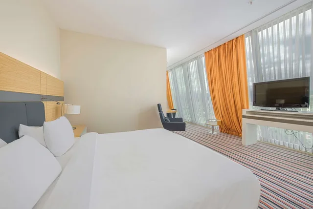 جناح جونيور بسرير كينج، RADISSON BLU HOTEL, BATUMI 1/6