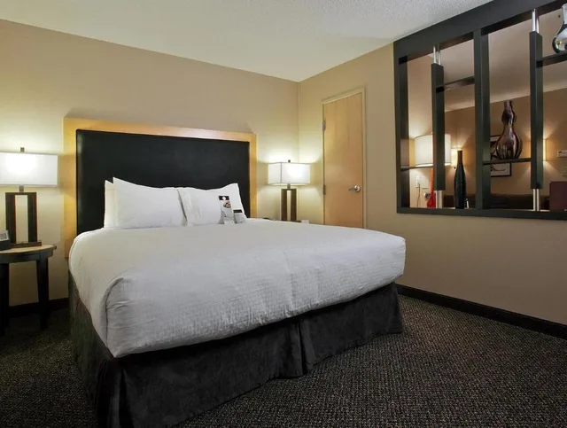 جناح استوديو بسرير كينج لذوي الإعاقة، DoubleTree by Hilton Hotel Savannah Airport 1/1
