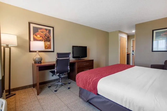 غرفة بسرير كينج لذوي الإعاقة، Comfort Inn & Suites Cooperstown / Milford 4/6