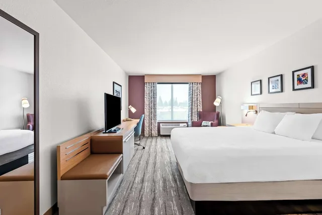 Evolution, King Bed, Hilton Garden Inn Seattle North-Everett 1/9