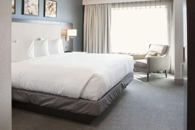Governor, Deluxe, Suite, King Bed, Sofa، Hilton Garden Inn Minneapolis University Area 1/2