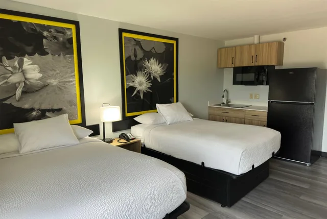غرفة بسريرين مزدوجين، Super 8 by Wyndham Alexandria LA 2/4