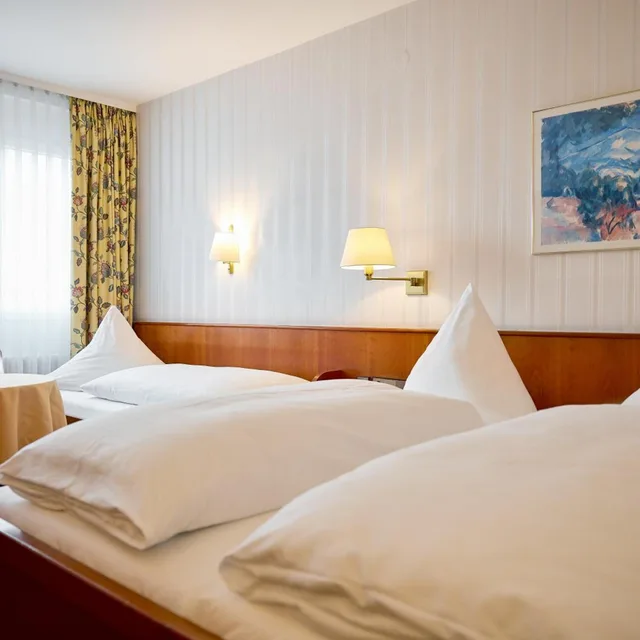 غرفة كومفورت، Hotel Zum Schiff 1/9