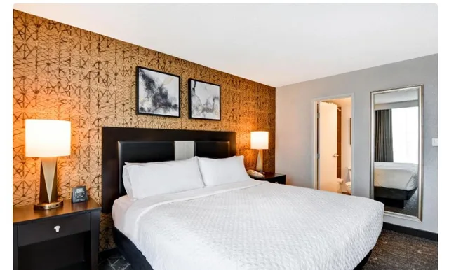 2 Rooms, Suite, King Bed, Sofa, Corner, Embassy Suites by Hilton Minneapolis Airport 1/1