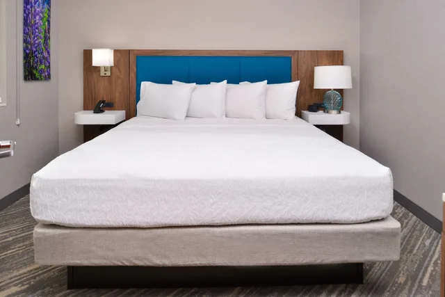 جناح بسريرين كينج مع أريكة، Hampton Inn & Suites Boise/Spectrum 5/9