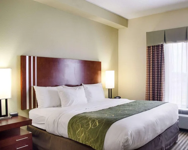 جناح بسرير كينج لذوي الإعاقة، Comfort Suites Greenwood MS 1/4
