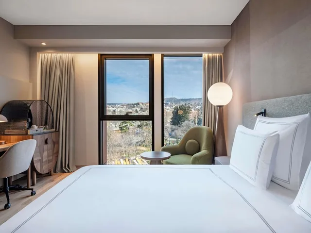 Swiss, Business, Double Bed، Swissotel Tbilisi 5/9