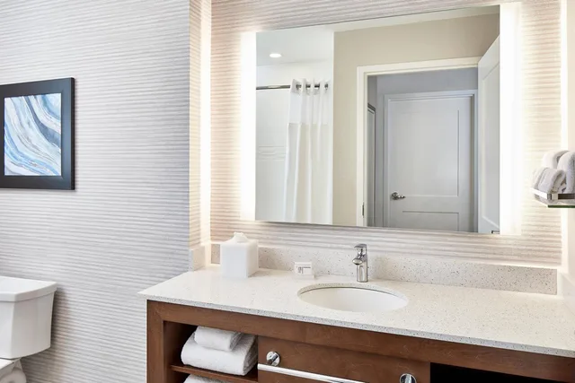 1 Bedroom, Suite, King Bed, Bay View, Sofa, Balcony، Residence Inn St. Petersburg Tierra Verde 5/8