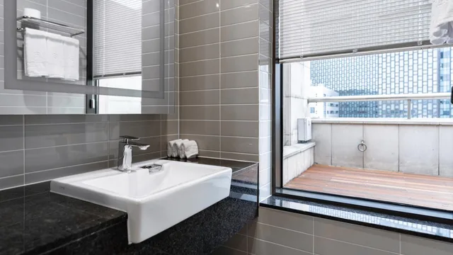 جناح، Novotel Ambassador Seoul Yongsan 2/2