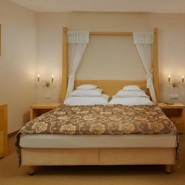 Standard, Double Bed, Atrium View, Ventana Hotel Prague 2/6