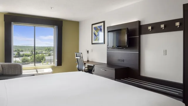 Suite, King Bed, Accessible, Holiday Inn Express Hotel & Suites Newton Sparta 3/7