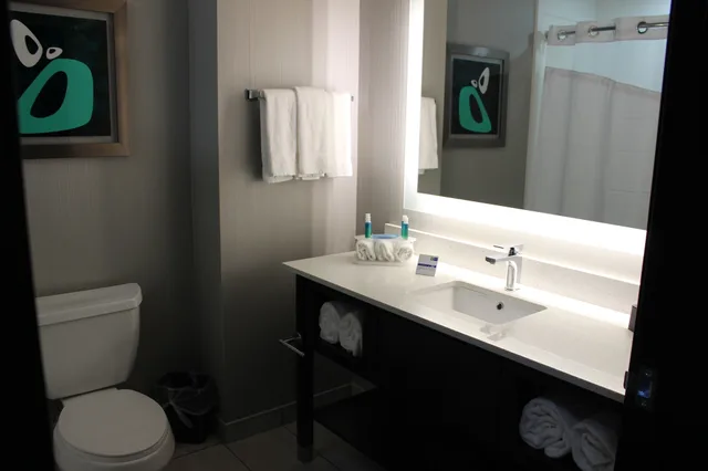 غرفة قياسية بسرير فردي، Holiday Inn Express Suites Shawnee Kansas City West 2/3