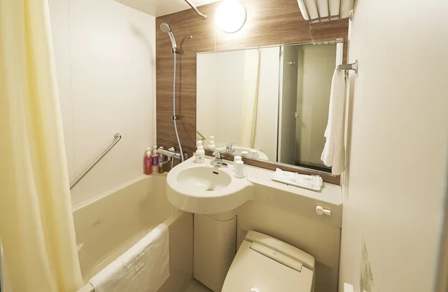 Room, Double Bed, Sotetsu Fresa Inn Osaka-Shinsaibashi 8/8