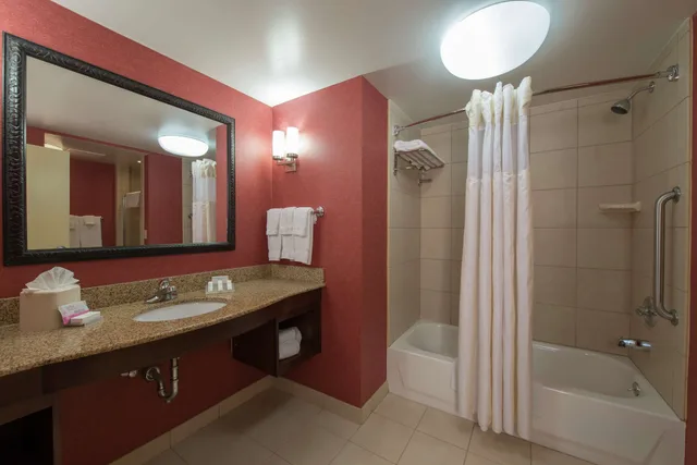 Evolution, Suite, King Bed، Hilton Garden Inn Tupelo Ms 3/3