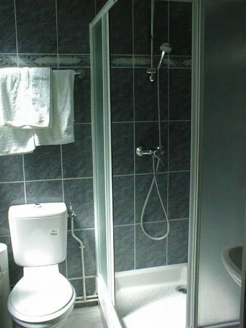 غرفة قياسية بسرير مزدوج، Hotel Ferney Republique 4/5