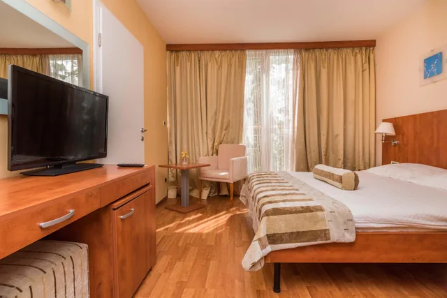 Economy, French Bed, Park View، Hotel Umag Plava Laguna 1/1