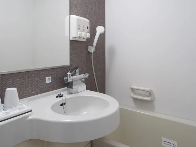 Standard, Double Bed, Comfort Hotel Tokyo Higashi Nihombashi 3/3