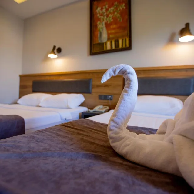غرفة بسرير مزدوج أو سريرين منفصلين بإطلالة على المسبح، Kleopatra Fatih Hotel 9/10