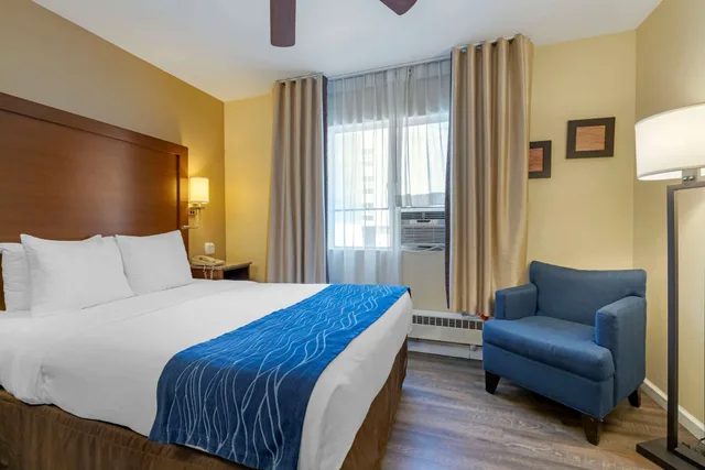 غرفة قياسية بسرير مزدوج، Comfort Inn Gaslamp Convention Center 8/10