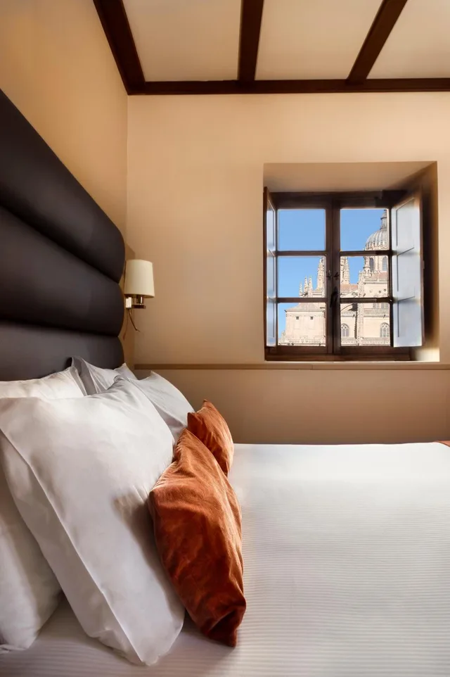 غرفة سوبيريور بسرير مزدوج أو سريرين منفصلين، Palacio de San Esteban 4/10