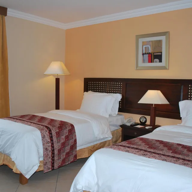 غرفة قياسية بسرير مزدوج أو سريرين منفصلين، Aanari Hotel and Spa 3/10