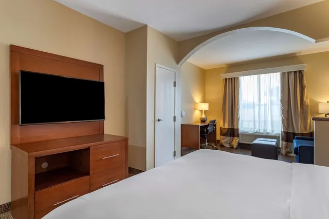 جناح بسرير كينج مع أريكة، Comfort Suites Houston near Medical Center- NRG Stadium 2/4