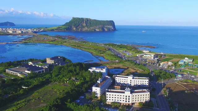Run of House, Playce Camp Jeju 3/3