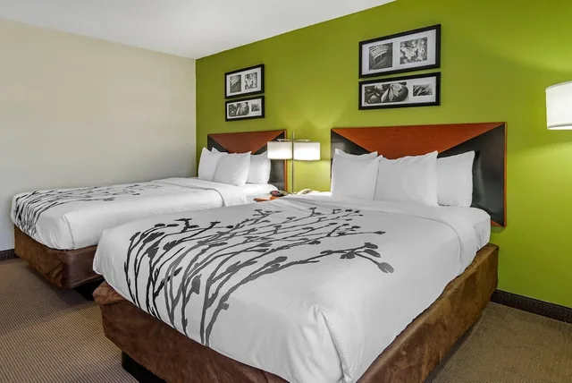 غرفة قياسية بسريرين كوين، Sleep Inn & Suites Stockbridge Atlanta South 1/4