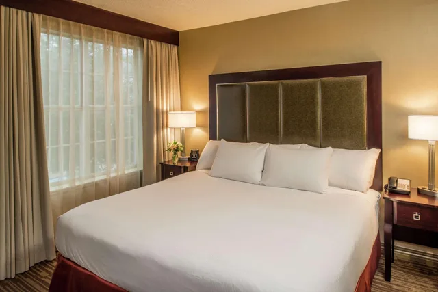 1 Bedroom, Suite, Doubletree by Hilton Raleigh Durham Airport at Research Triangle Park 1/3