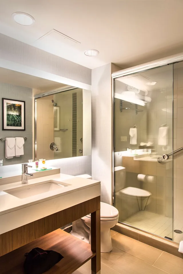 جناح بسرير كينج مع أريكة لذوي الإعاقة، Hyatt Place Charlottesville 3/4