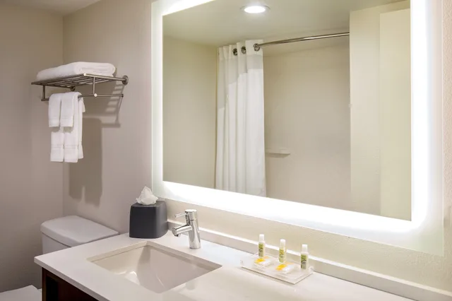 غرفة قياسية بسرير كينج لذوي الإعاقة، Holiday Inn Newport News - Hampton 3/4