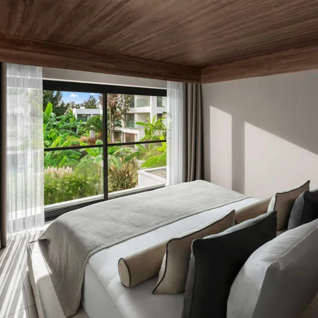 جناح بشرفة، Hotel Paloma Finesse Side 1/2