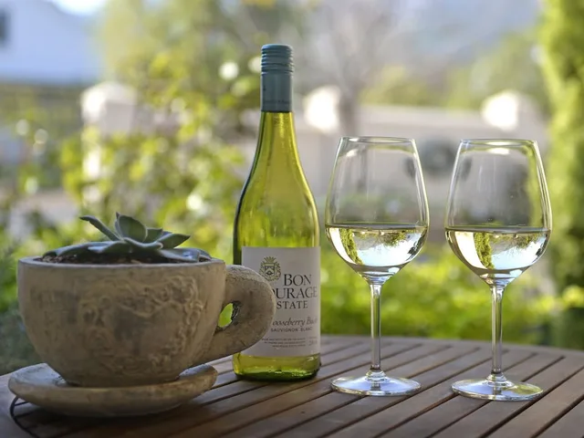 Grande Plaisir Holiday Home، Franschhoek 36/71