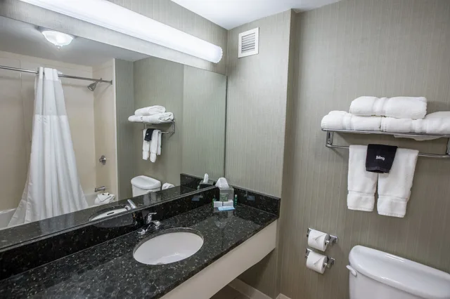 غرفة قياسية بسرير كينج بغرفة نوم واحدة، D. Hotel and Suites 7/9