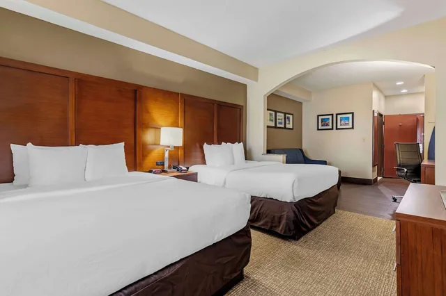 جناح استوديو بسريرين كوين مع أريكة، Comfort Inn and Suites Seguin, TX 1/6