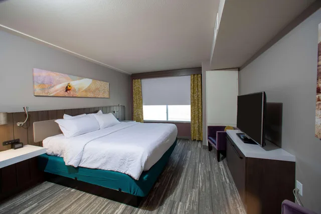 جناح جونيور بسرير كينج، Hilton Garden Inn Rapid City 1/1
