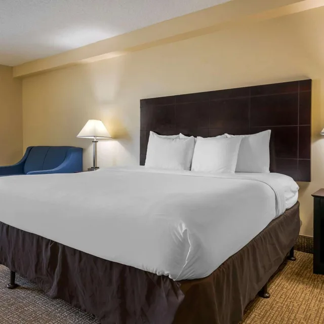 غرفة بسريرين كوين مع أريكة، I-Drive Hotel at Universal 4/7