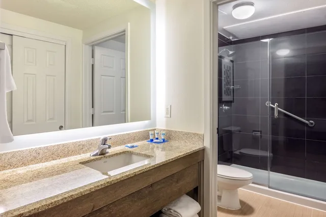 جناح استوديو بسرير كينج مع أريكة، Hyatt House Houston Galleria 3/6