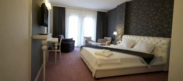 غرفة ديلوكس مفردة بسرير مزدوج، Edirne Palace 1/1
