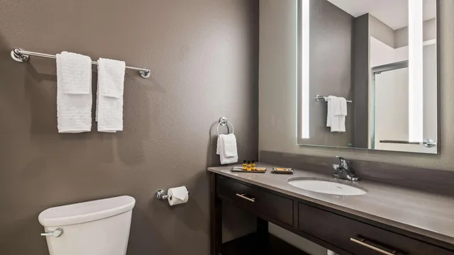 جناح بسرير كينج لذوي الإعاقة، Best Western Plus Saint Peter 3/5