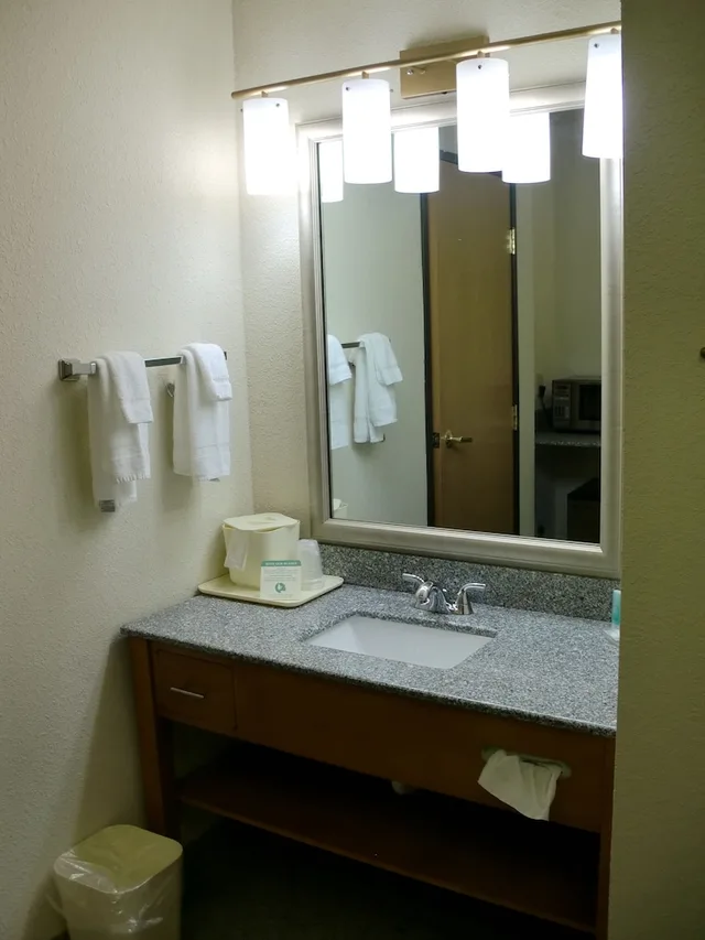 Standard, King Bed, Comfort Inn Birch Run - Frankenmuth 2/2