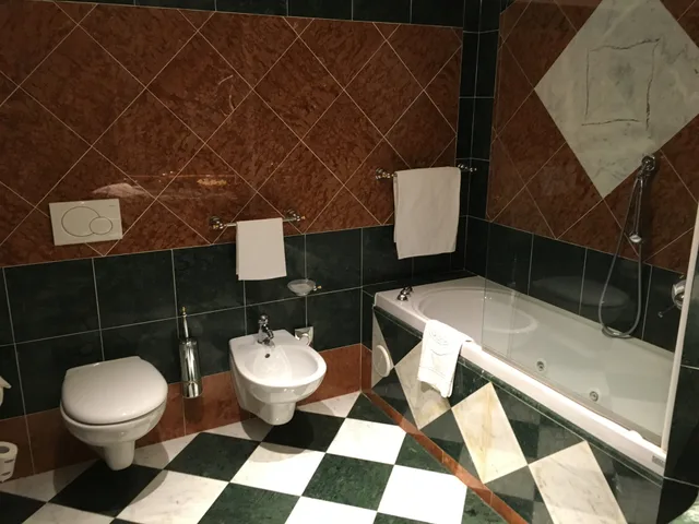 غرفة قياسية مزدوجة، Regina Palace 1/1