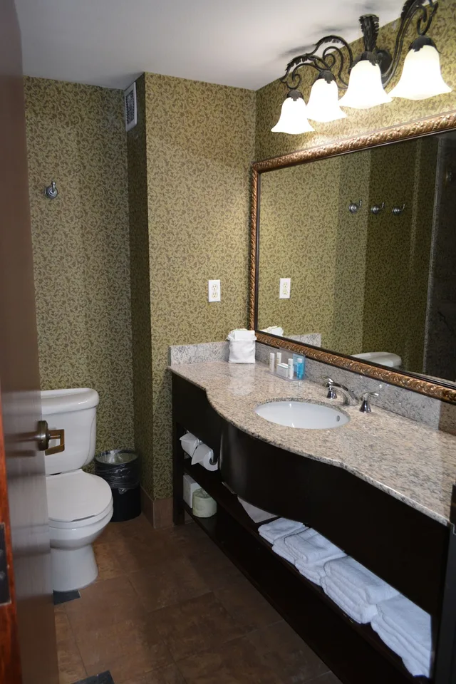 جناح بسريرين كوين بحوض جاكوزي لذوي الإعاقة، Hampton Inn Suites Houston Katy 7/7